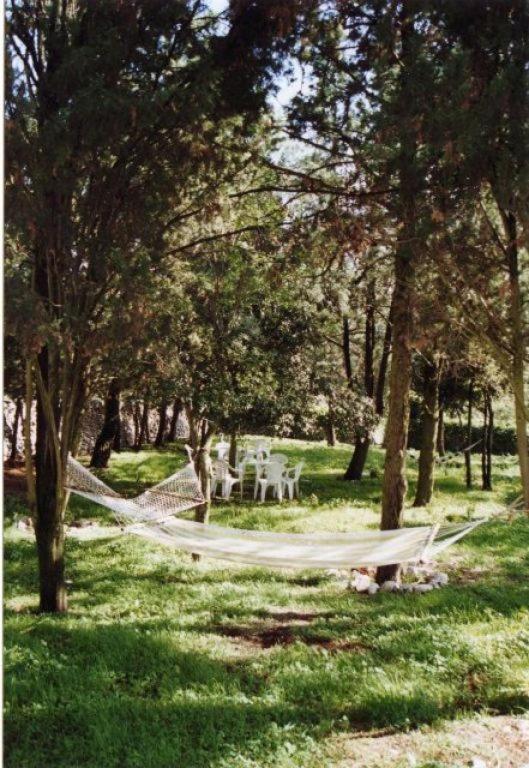 Masseria Murgia Albanese Noci Exteriör bild