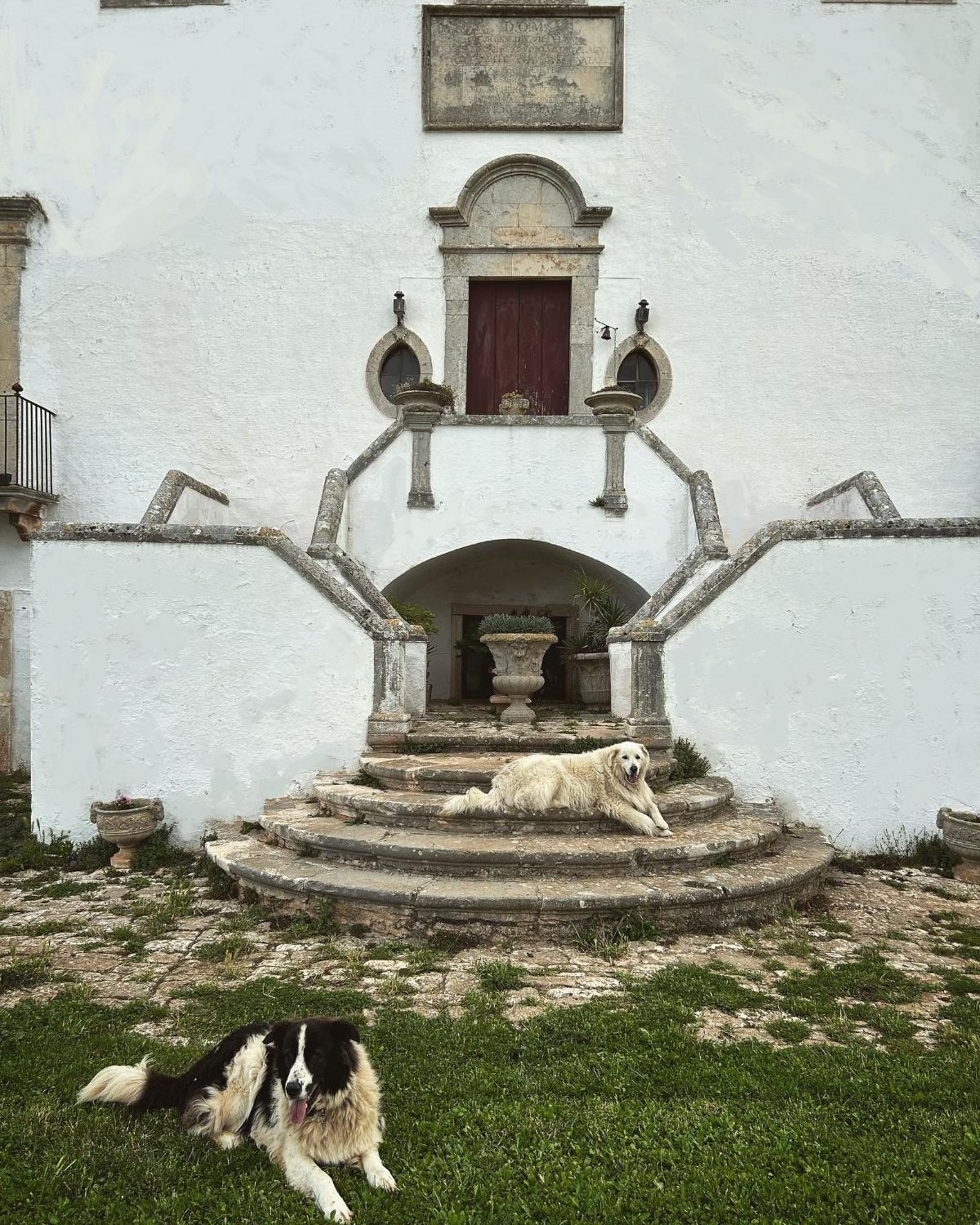 Masseria Murgia Albanese Noci Exteriör bild