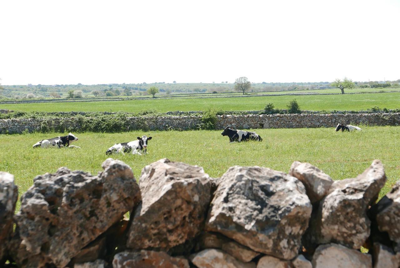 Masseria Murgia Albanese Noci Exteriör bild