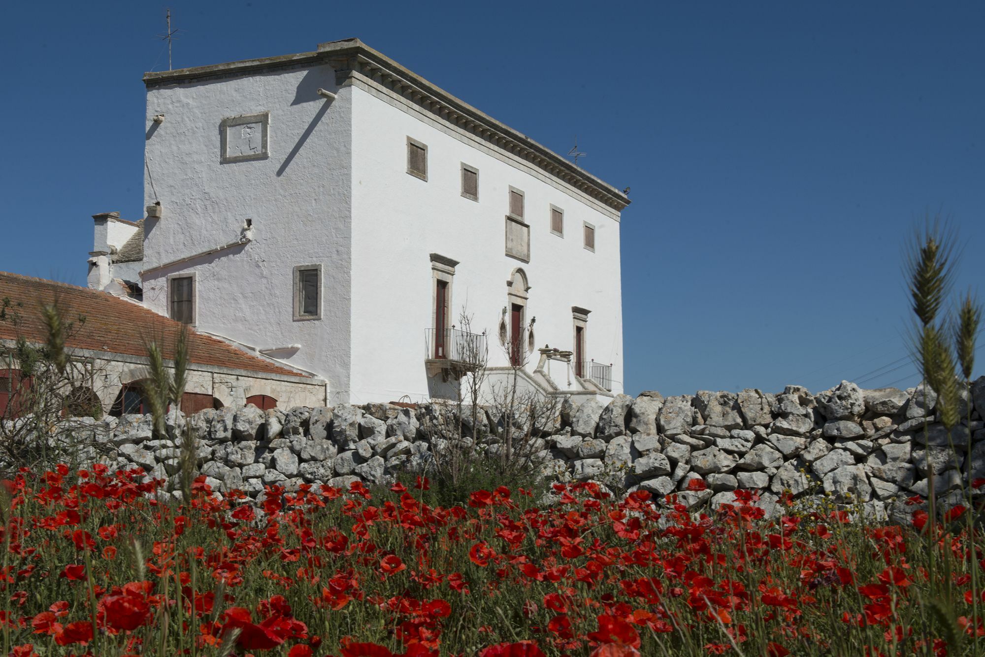 Masseria Murgia Albanese Noci Exteriör bild